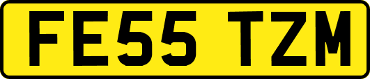 FE55TZM