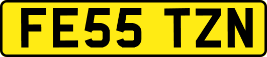 FE55TZN
