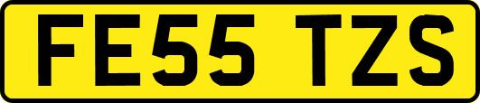 FE55TZS