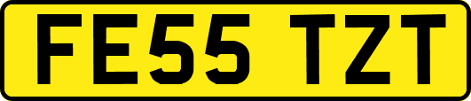 FE55TZT