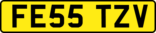 FE55TZV