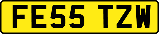 FE55TZW