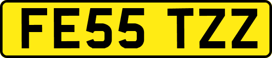 FE55TZZ