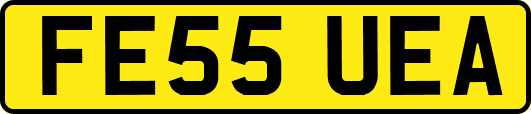 FE55UEA