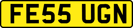 FE55UGN