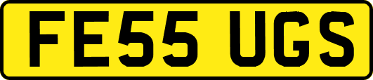 FE55UGS