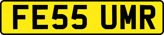 FE55UMR
