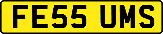 FE55UMS