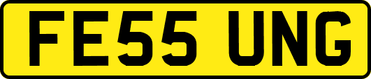 FE55UNG