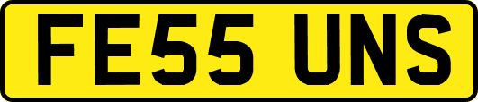 FE55UNS