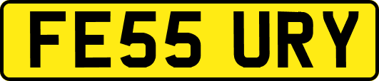 FE55URY