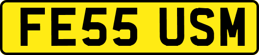 FE55USM