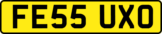 FE55UXO