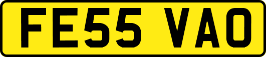 FE55VAO