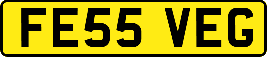 FE55VEG