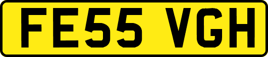 FE55VGH