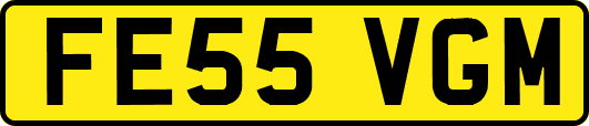 FE55VGM