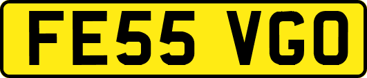 FE55VGO