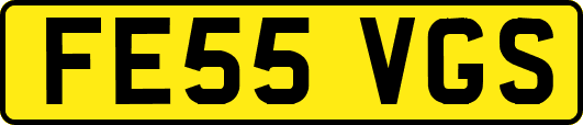 FE55VGS