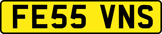 FE55VNS