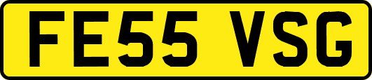 FE55VSG