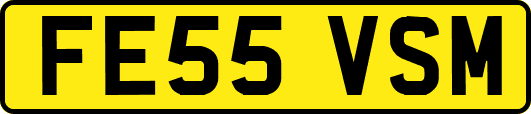 FE55VSM