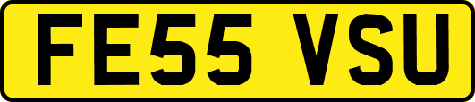 FE55VSU