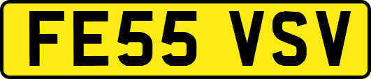 FE55VSV