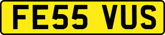 FE55VUS