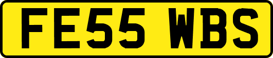 FE55WBS