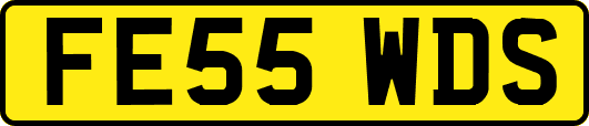 FE55WDS
