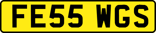FE55WGS