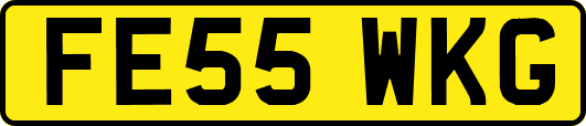 FE55WKG