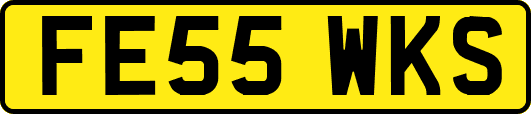 FE55WKS