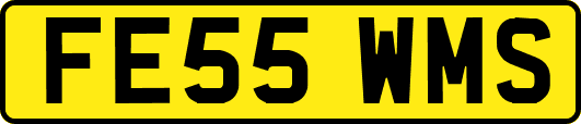 FE55WMS