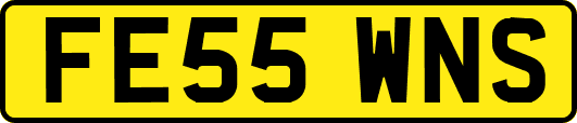 FE55WNS
