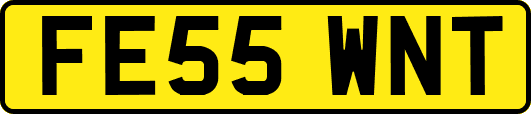 FE55WNT