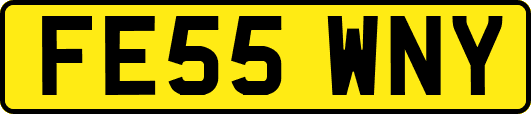 FE55WNY