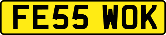 FE55WOK