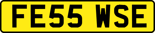 FE55WSE