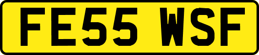 FE55WSF