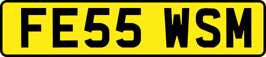 FE55WSM