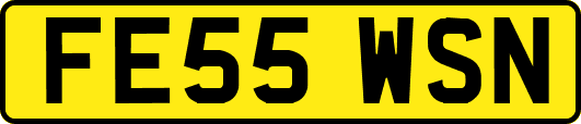 FE55WSN