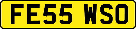 FE55WSO