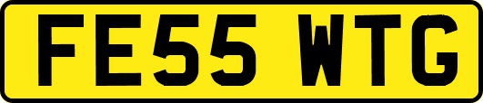 FE55WTG
