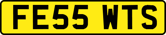 FE55WTS