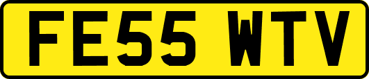 FE55WTV