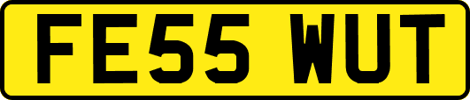 FE55WUT