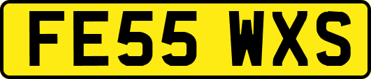 FE55WXS