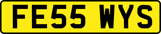 FE55WYS